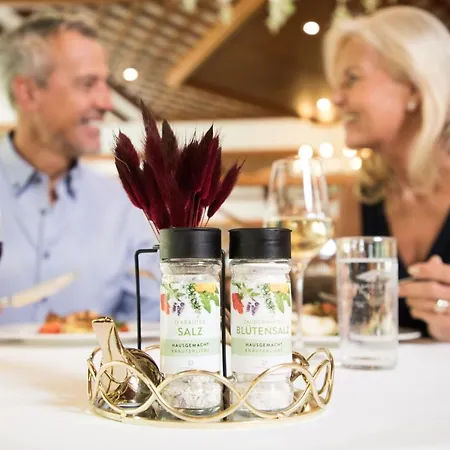 Resort Optimamed Gesundheitsresort Bad Mitterndorf *