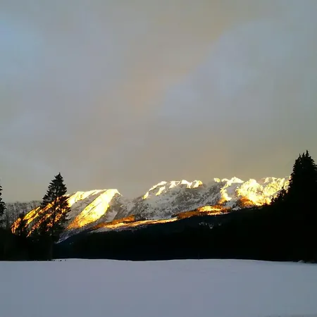 Gesundheit & Wellness Resort *