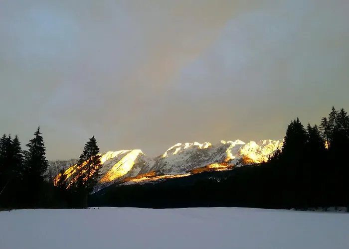 Gesundheit & Wellness منتجع *